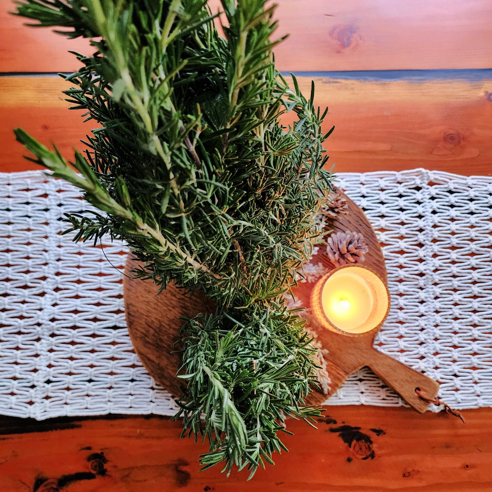 Rosemary Cone Cone Shape - View 27 from www redcrocus com