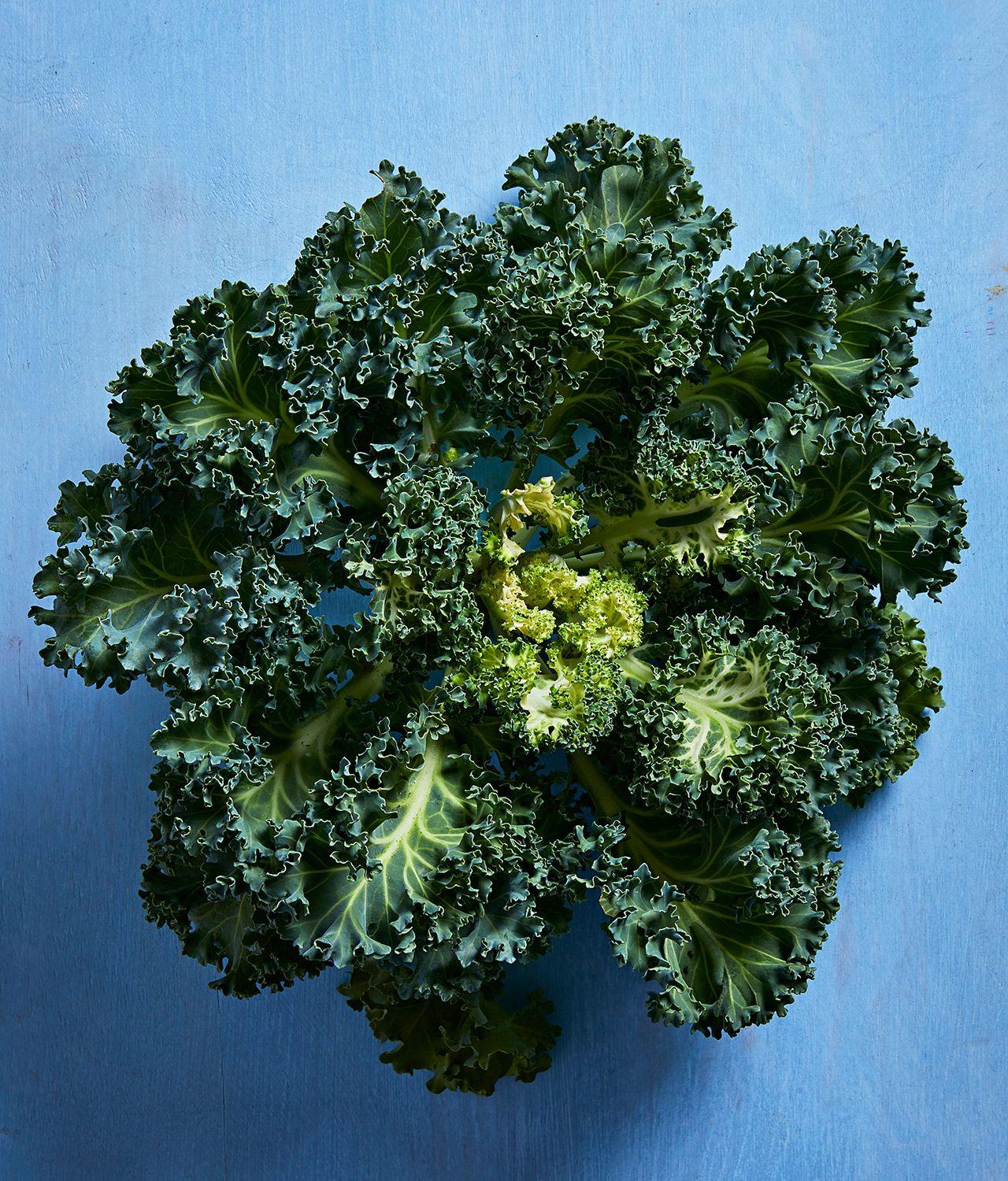 Kale Yokohama White - View 9 from www redcrocus com