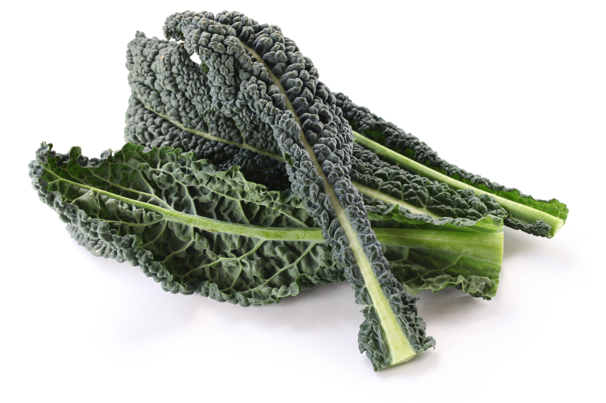 Kale Dinosaur - View 17 from www redcrocus com