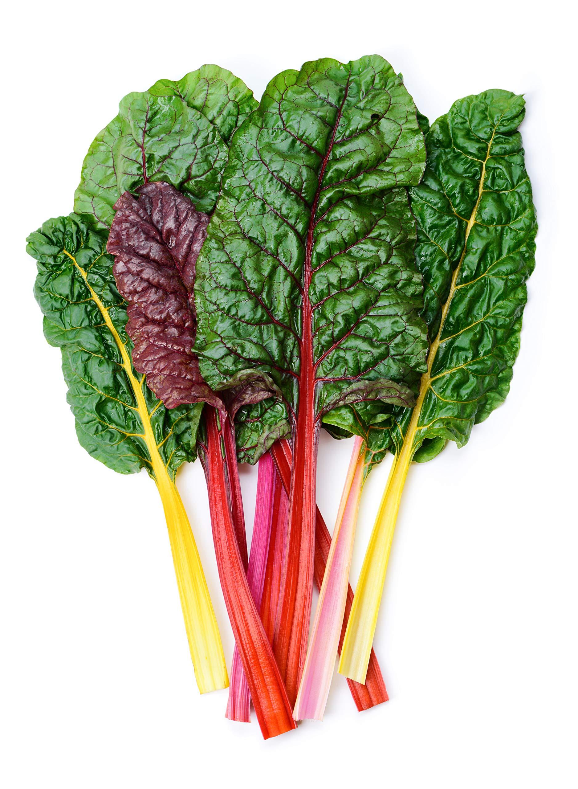 Swiss Chard 'bright Lights Mix' - View 11 from www redcrocus com