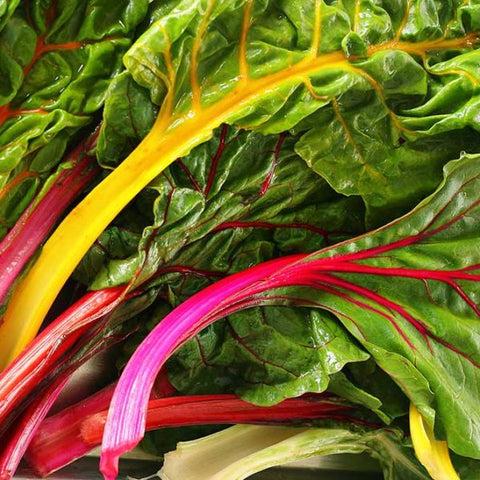 Swiss Chard 'bright Lights Mix' - View 13 from www redcrocus com