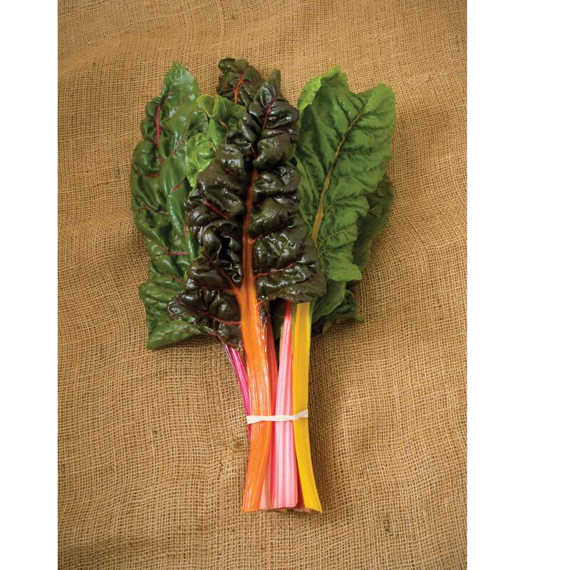 Swiss Chard 'bright Lights Mix' - View 16 from www redcrocus com