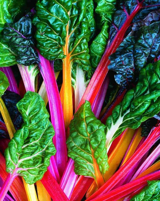 Swiss Chard 'bright Lights Mix' - View 1 from www redcrocus com