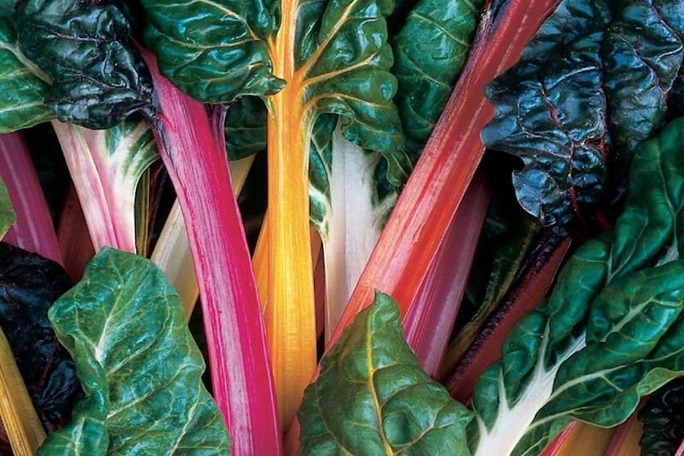 Swiss Chard 'bright Lights Mix' - View 7 from www redcrocus com