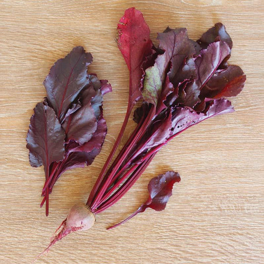Beet 'bull's Blood' - View 10 from www redcrocus com