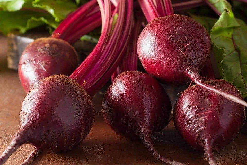 Beet 'bull's Blood' - View 11 from www redcrocus com