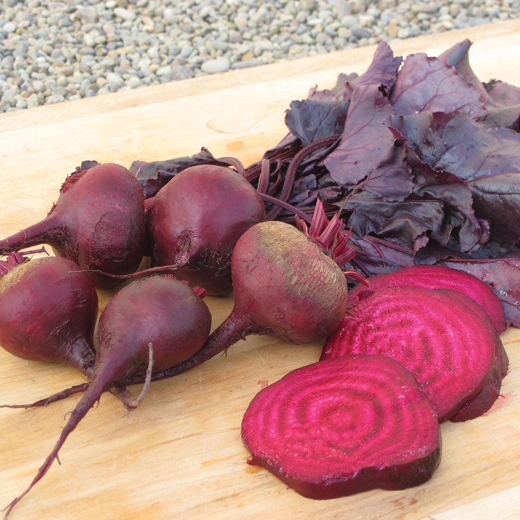 Beet 'bull's Blood' - View 5 from www redcrocus com