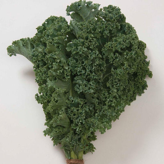 Kale 'winterbor' - View 1 from www redcrocus com