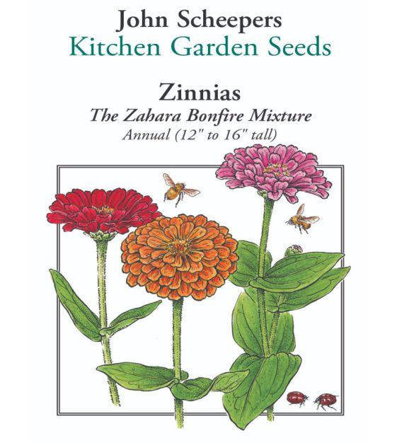 Zinnia 'zahara Bonfire Mix' - View 5 from www redcrocus com