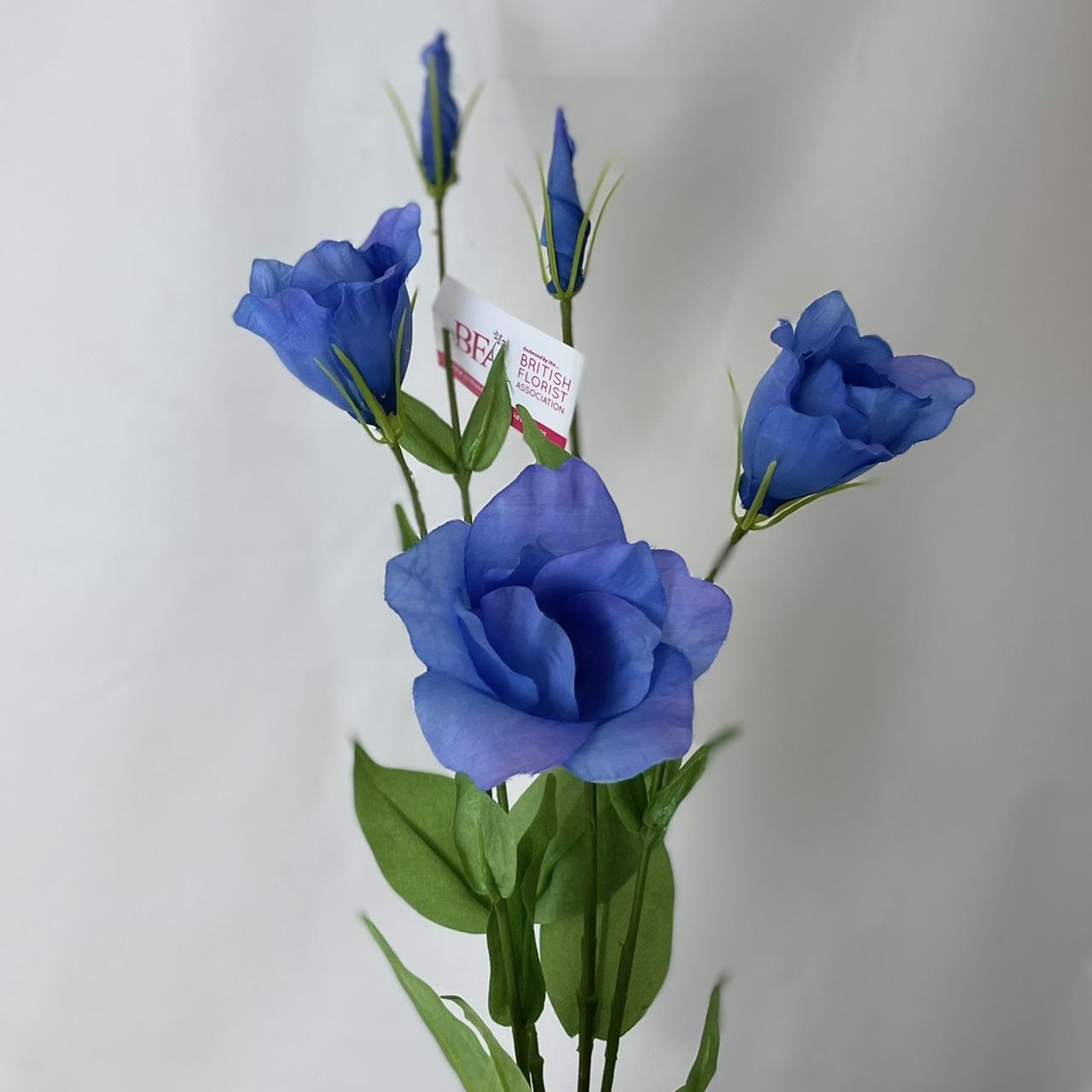 Lisianthus Carmen Blue - View 9 from www redcrocus com