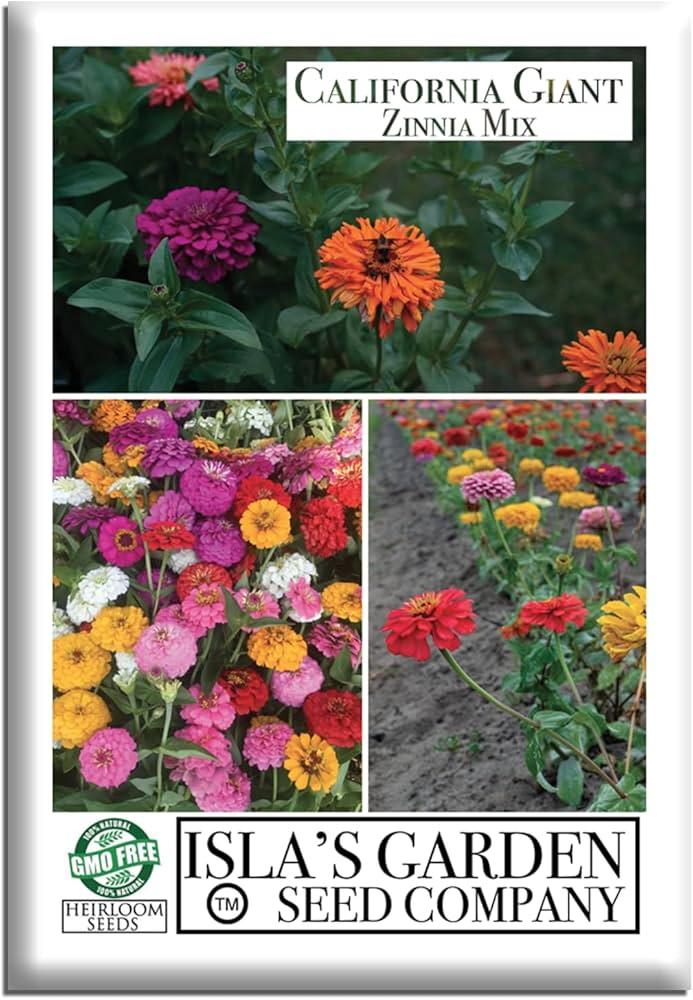 Zinnia 'elegant Hot Mix' - View 23 from www redcrocus com