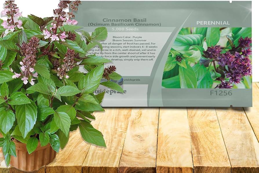 Herb, Ocimum Basilicum, Assorted Basil - View 10 from www redcrocus com