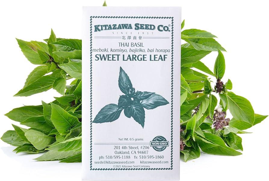 Herb, Ocimum Basilicum, Assorted Basil - View 19 from www redcrocus com
