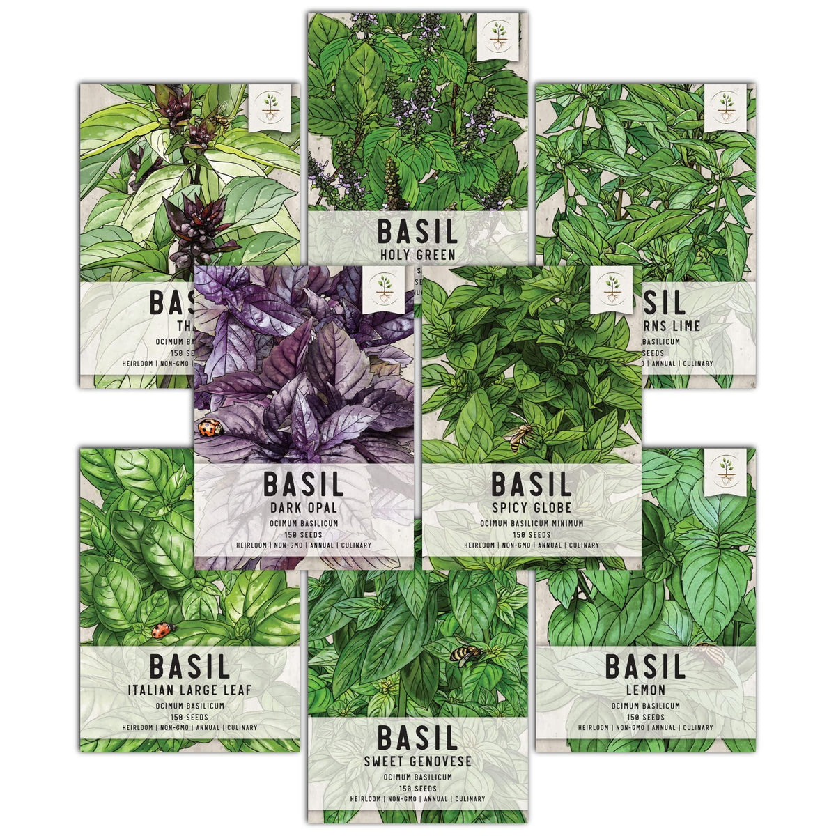 Herb, Ocimum Basilicum, Assorted Basil - View 33 from www redcrocus com