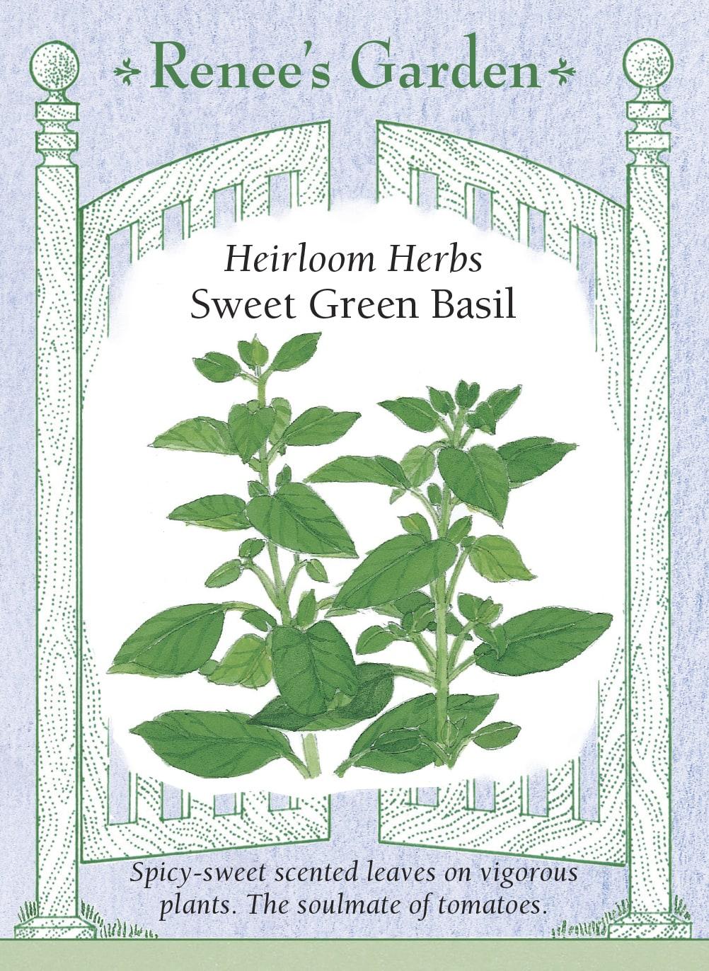 Herb, Ocimum Basilicum, Assorted Basil - View 38 from www redcrocus com