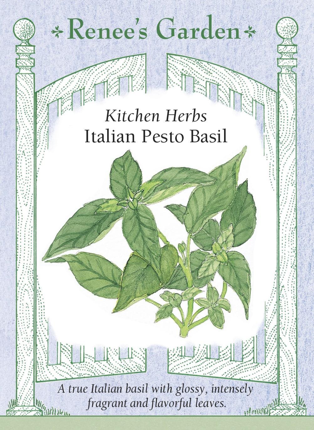 Herb, Ocimum Basilicum, Assorted Basil - View 40 from www redcrocus com