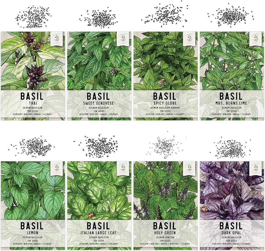 Herb, Ocimum Basilicum, Assorted Basil - View 5 from www redcrocus com