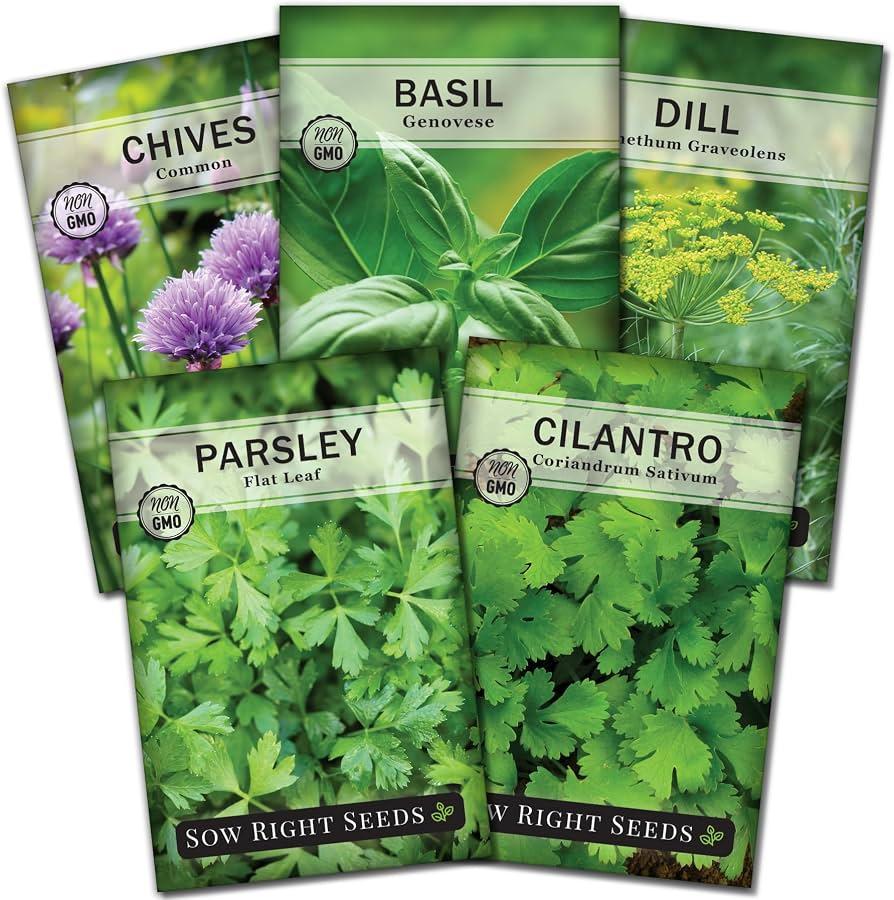 Herb, Ocimum Basilicum, Assorted Basil - View 8 from www redcrocus com