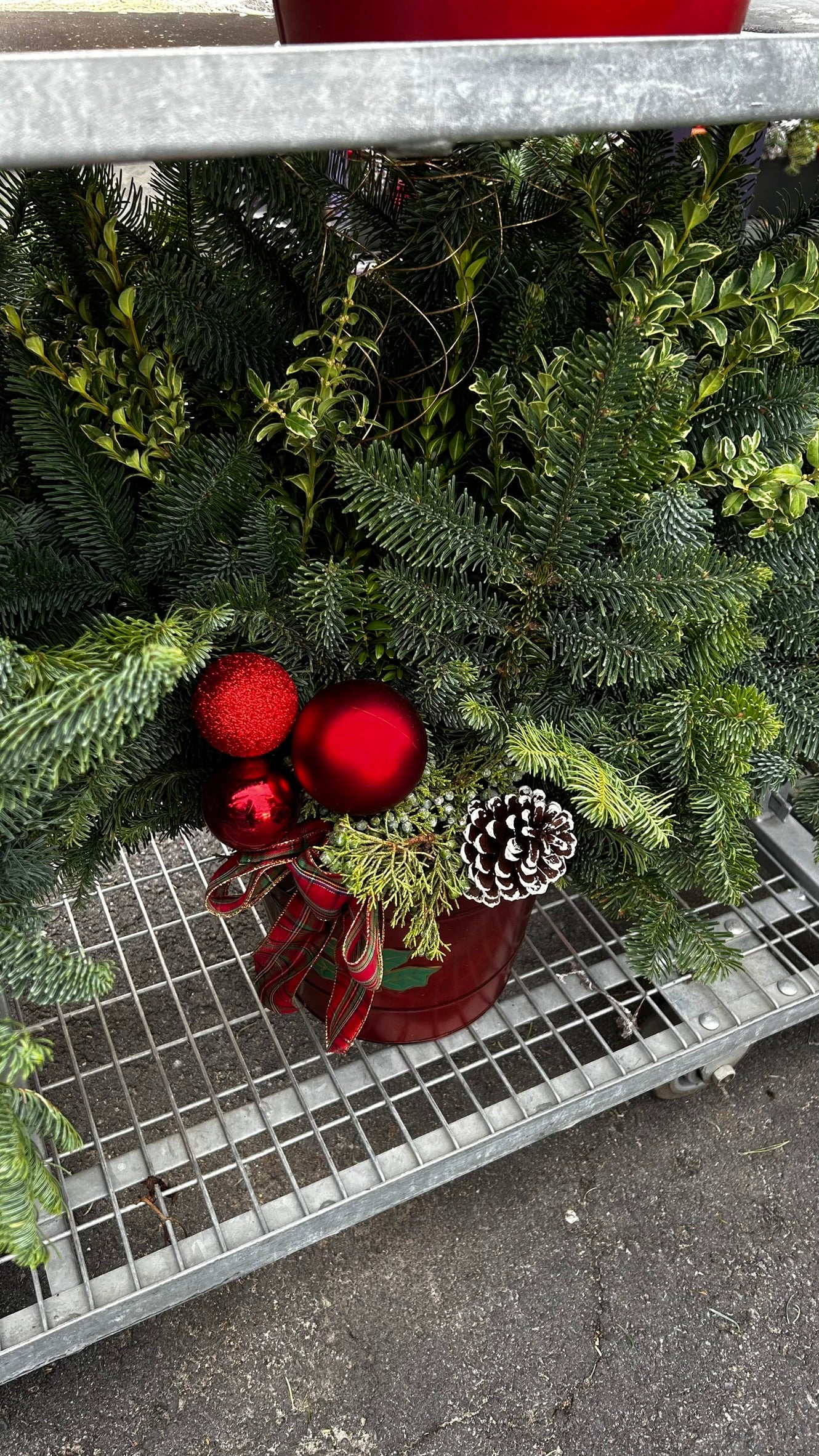 Planter, 12" Decorative Tin, Red Planter (Each)