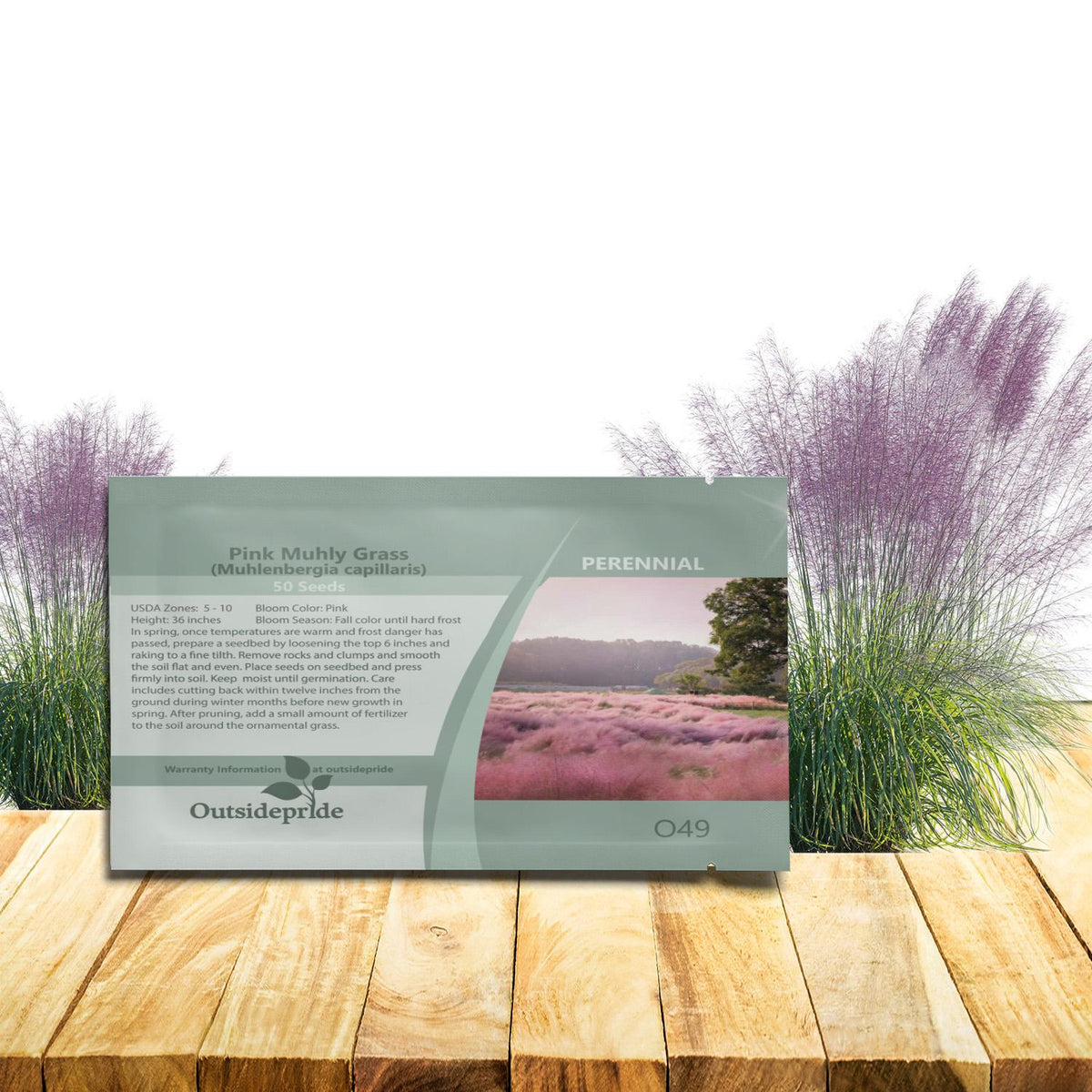 G0021 Grass, Muhlenbergia Capillaris - View 20 from www redcrocus com
