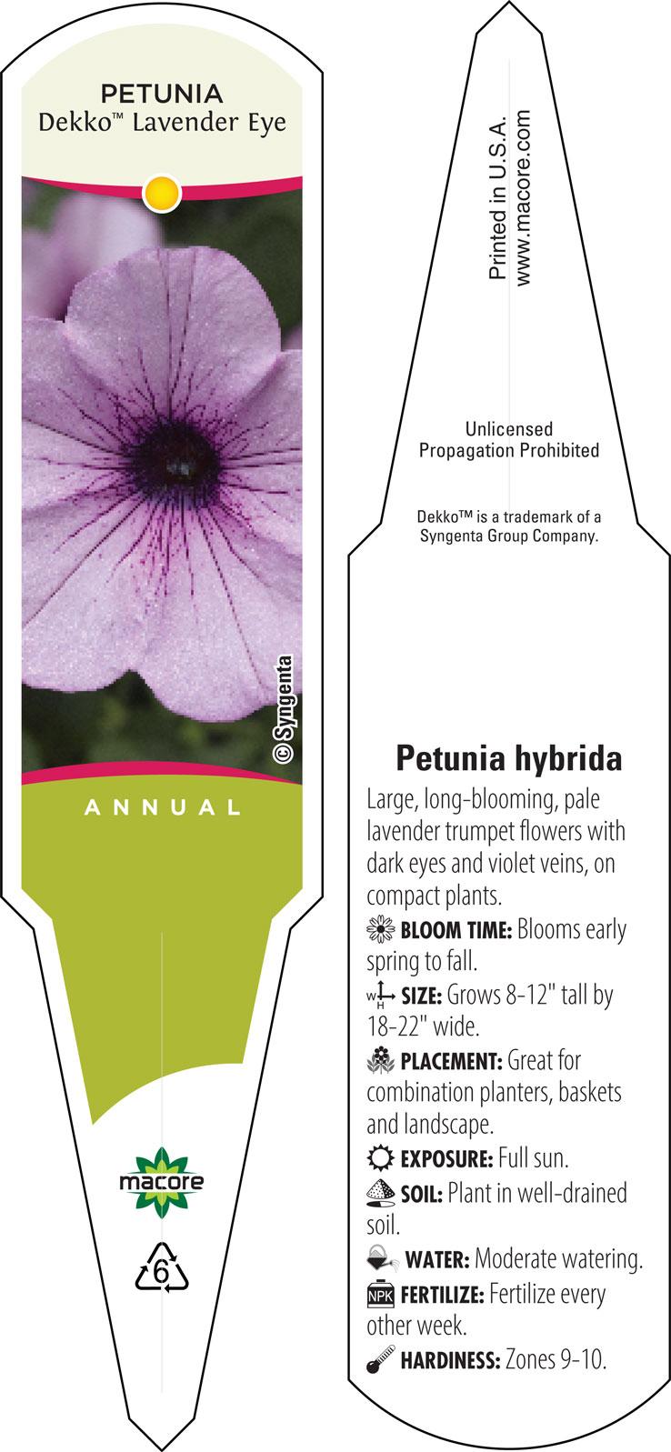 Petunia 'dekko Lavender Eye' - View 3 from www redcrocus com