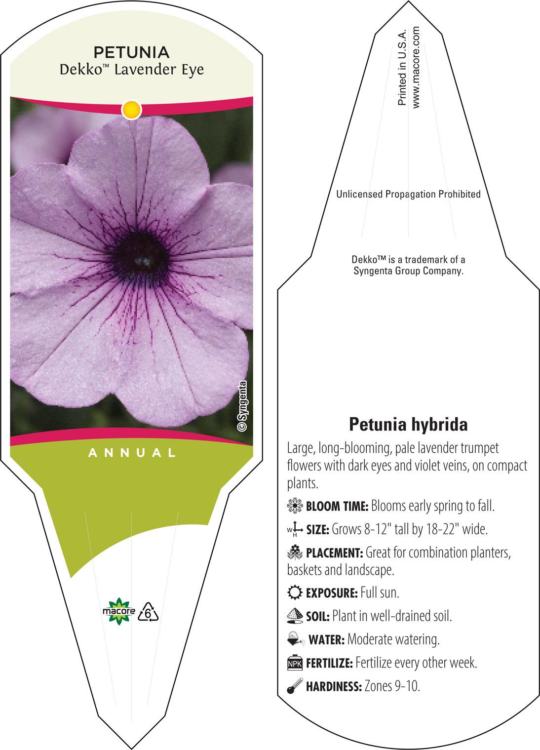 Petunia 'dekko Lavender Eye' - View 8 from www redcrocus com