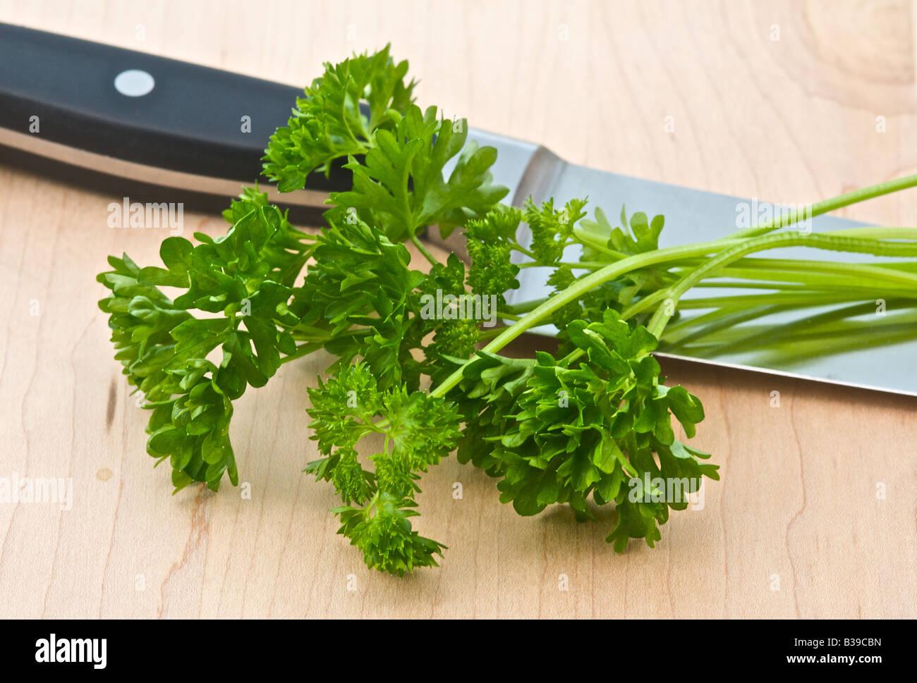 Herb Petroselinum Crispum Curly Parsley - View 1 from www redcrocus com
