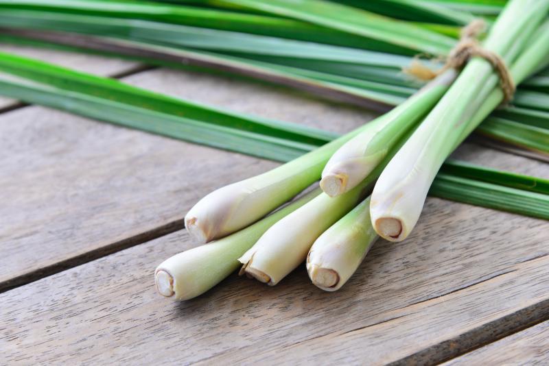 Herb Lemongrass Cymbopogon Citratus - View 7 from www redcrocus com