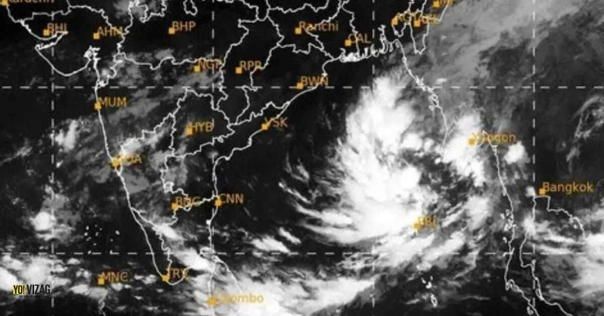 670 Mum, Yellow Cyclone Yellow - View 15 from www redcrocus com