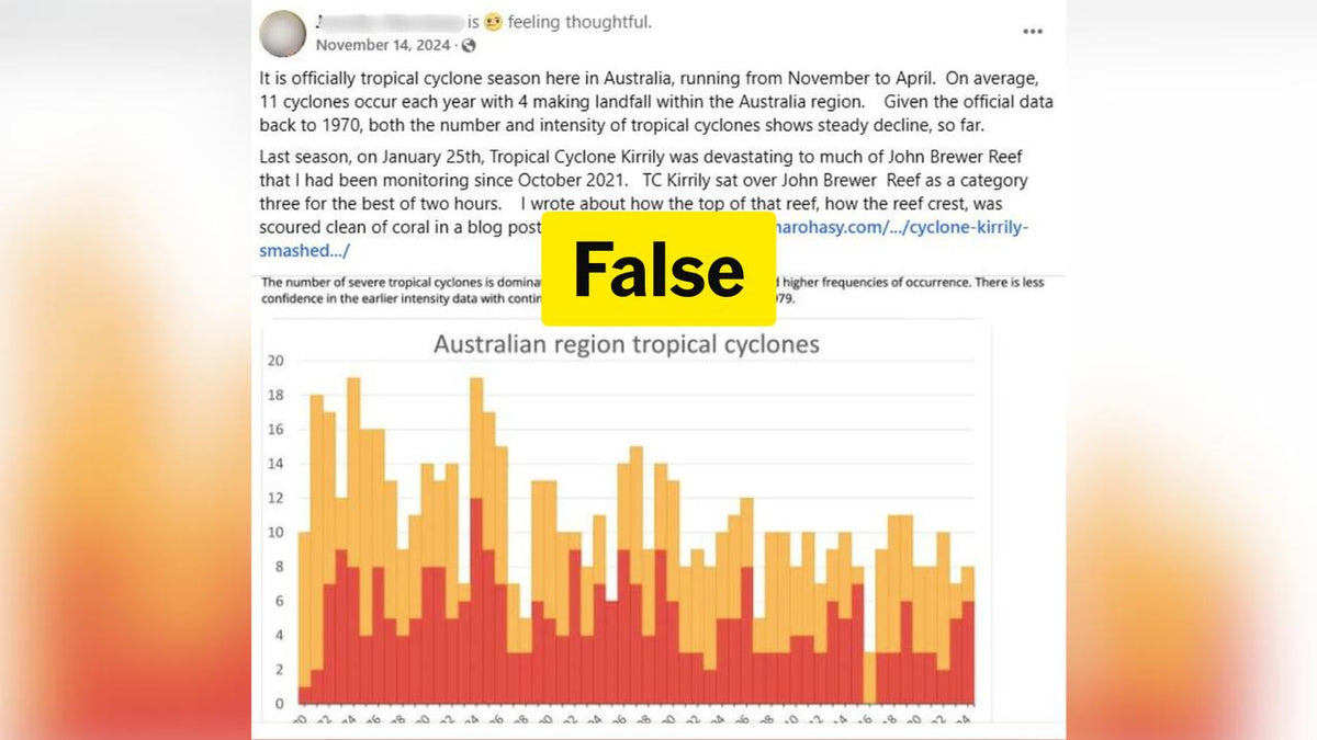 670 Mum, Yellow Cyclone Yellow - View 18 from www redcrocus com