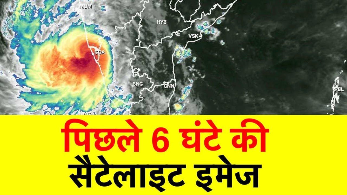 670 Mum, Yellow Cyclone Yellow - View 19 from www redcrocus com