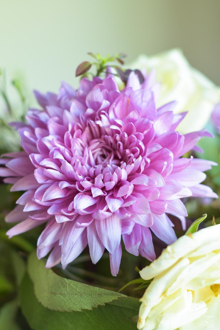 526 Mum Purple Plumberry Purple - View 14 from www redcrocus com