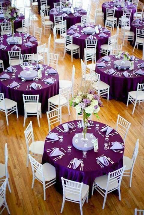 550 Mum Purple Banquet Purple - View 6 from www redcrocus com