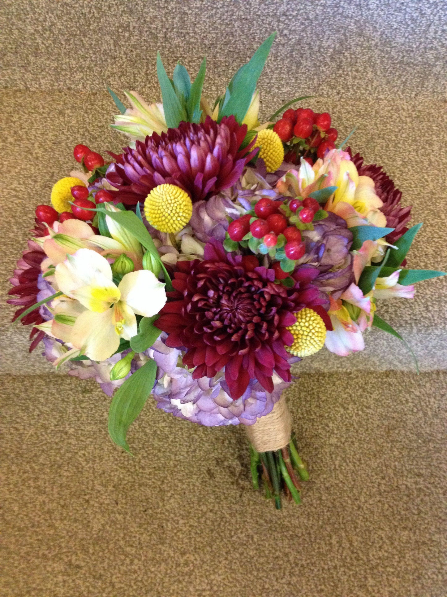 550 Mum Purple Banquet Purple - View 9 from www redcrocus com