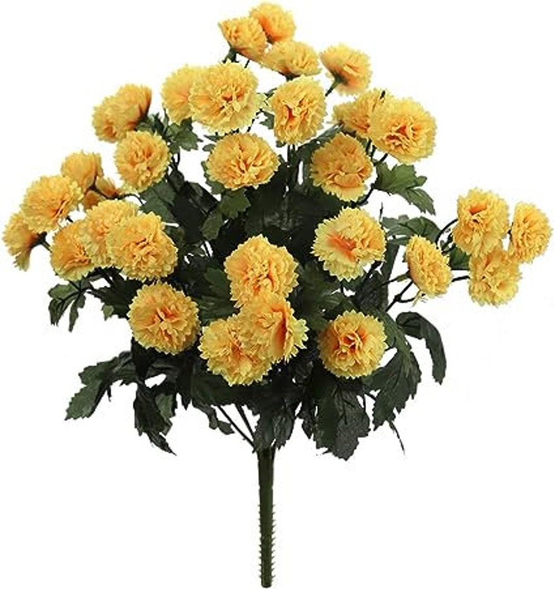 614 Mum Yellow Soul Sister Yellow - View 6 from www redcrocus com