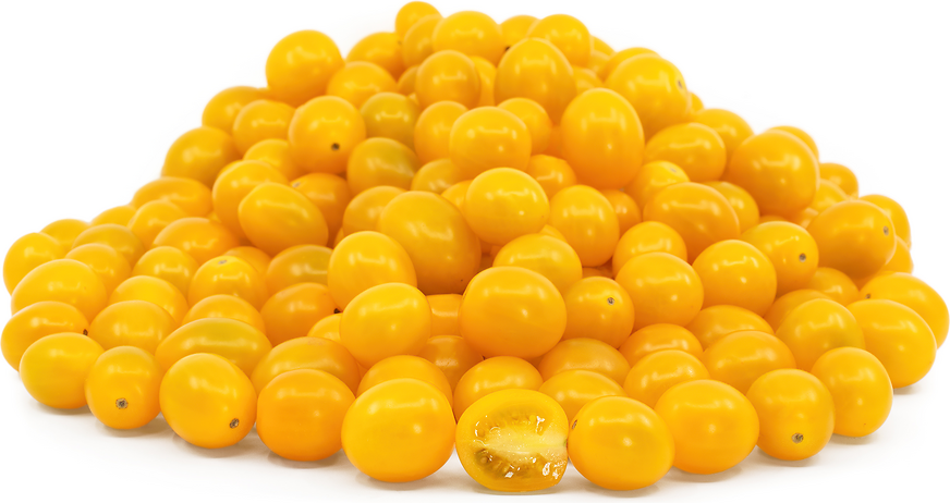 Mum, Yellow Cosmic Solar Yellow - View 23 from www redcrocus com