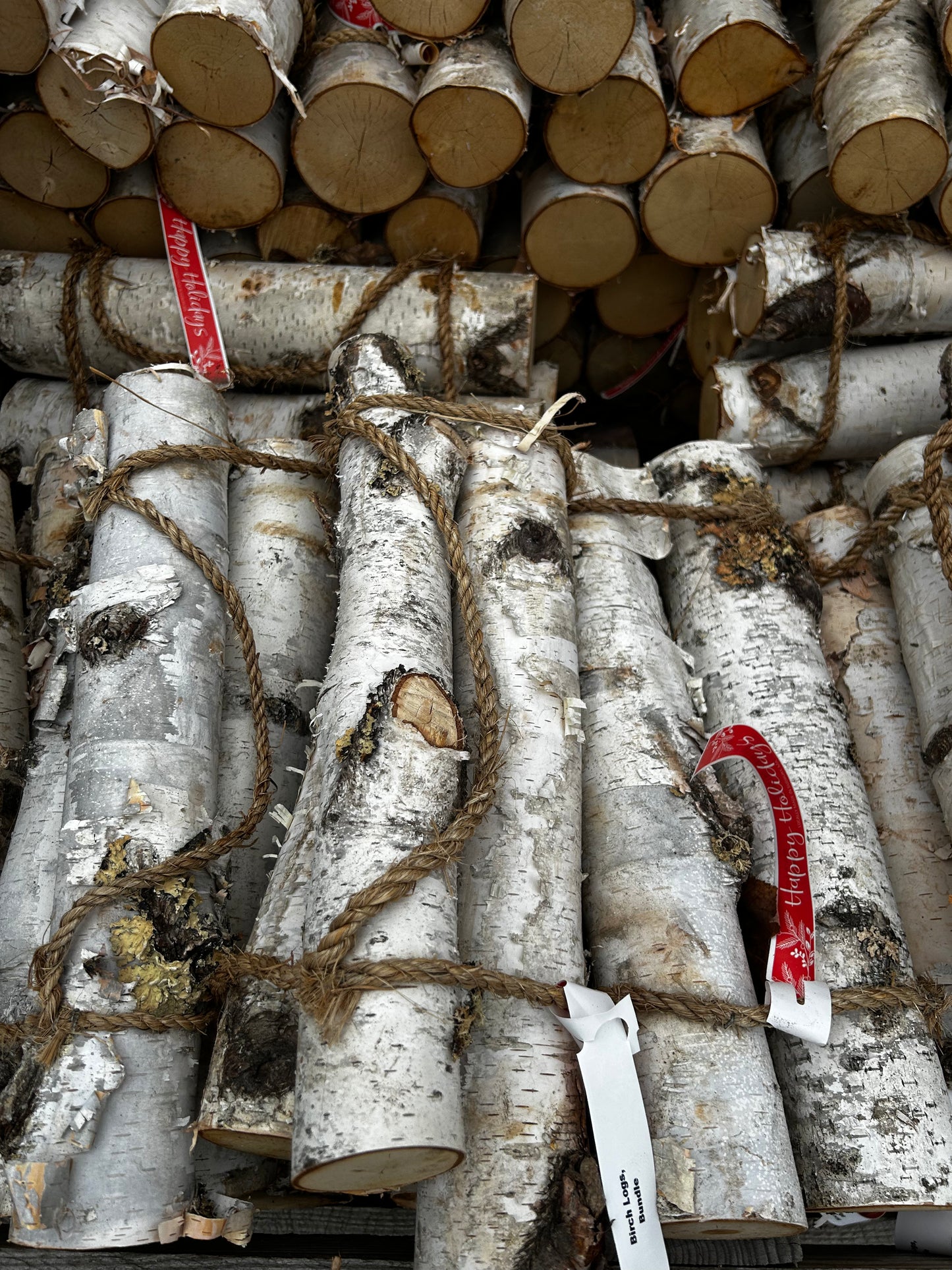 Birch Logs, Bundle
