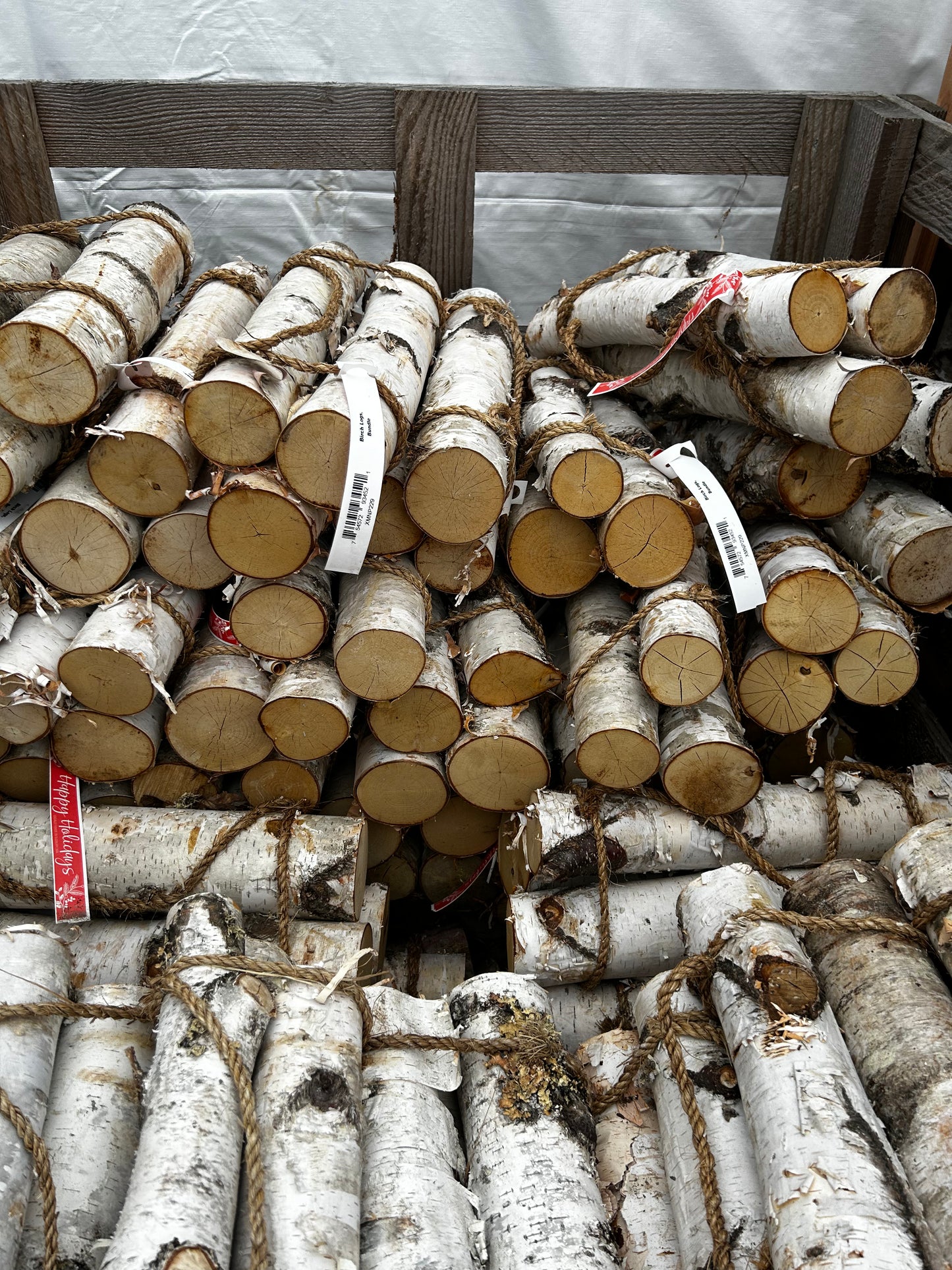 Birch Logs, Bundle