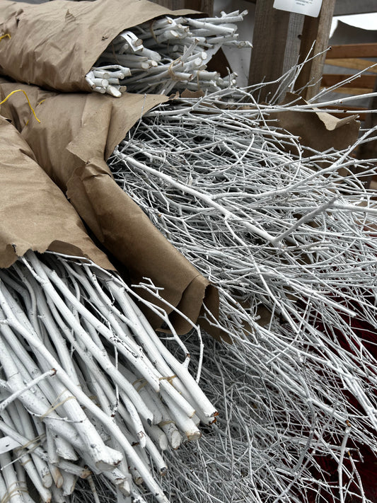 Branch, Birch Painted White, 4-5' (10 Branches/Bunch, 10 Bunches/Bundle) Pack of 10