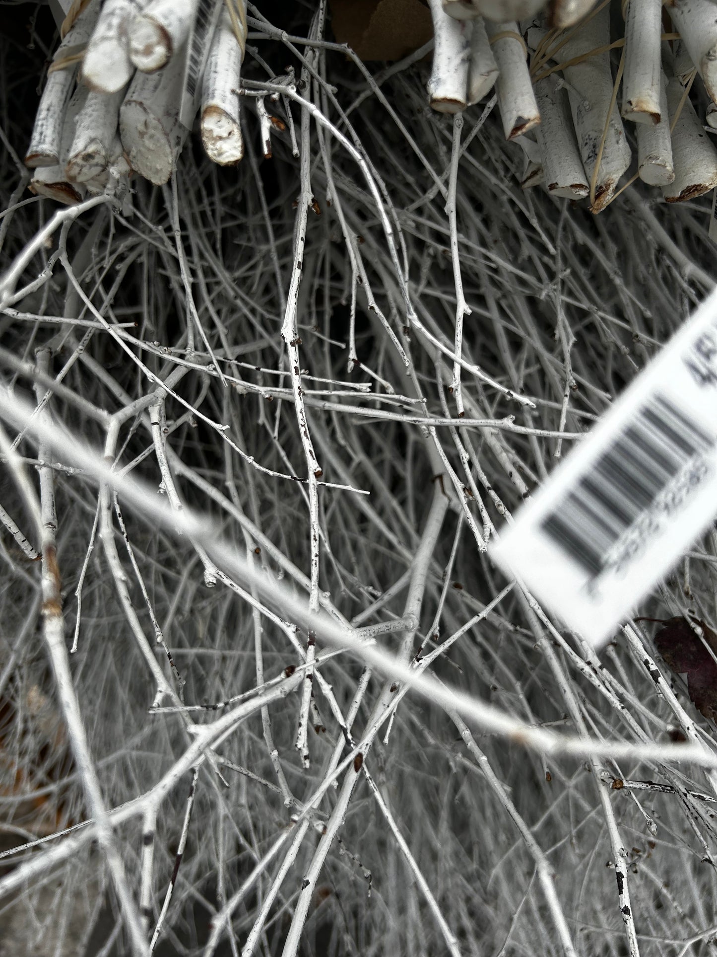 Branch, Birch Painted White, 4-5' (10 Branches/Bunch, 10 Bunches/Bundle) Pack of 10