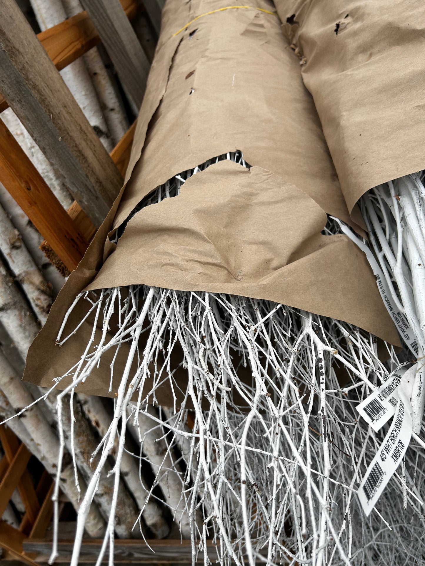 Branch, Birch Painted White, 4-5' (10 Branches/Bunch, 10 Bunches/Bundle) Pack of 10