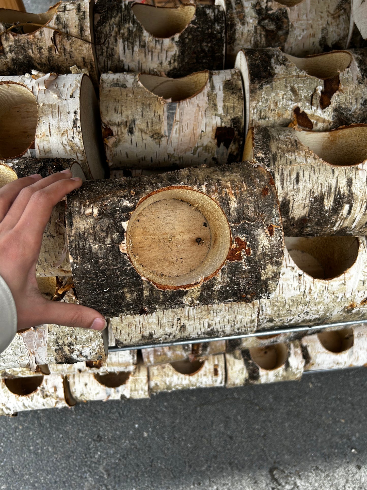 Birch Log, Empty, 1 Hole Horizontal Each