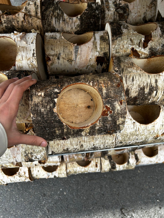 Birch Log, Empty, 1 Hole Horizontal Each