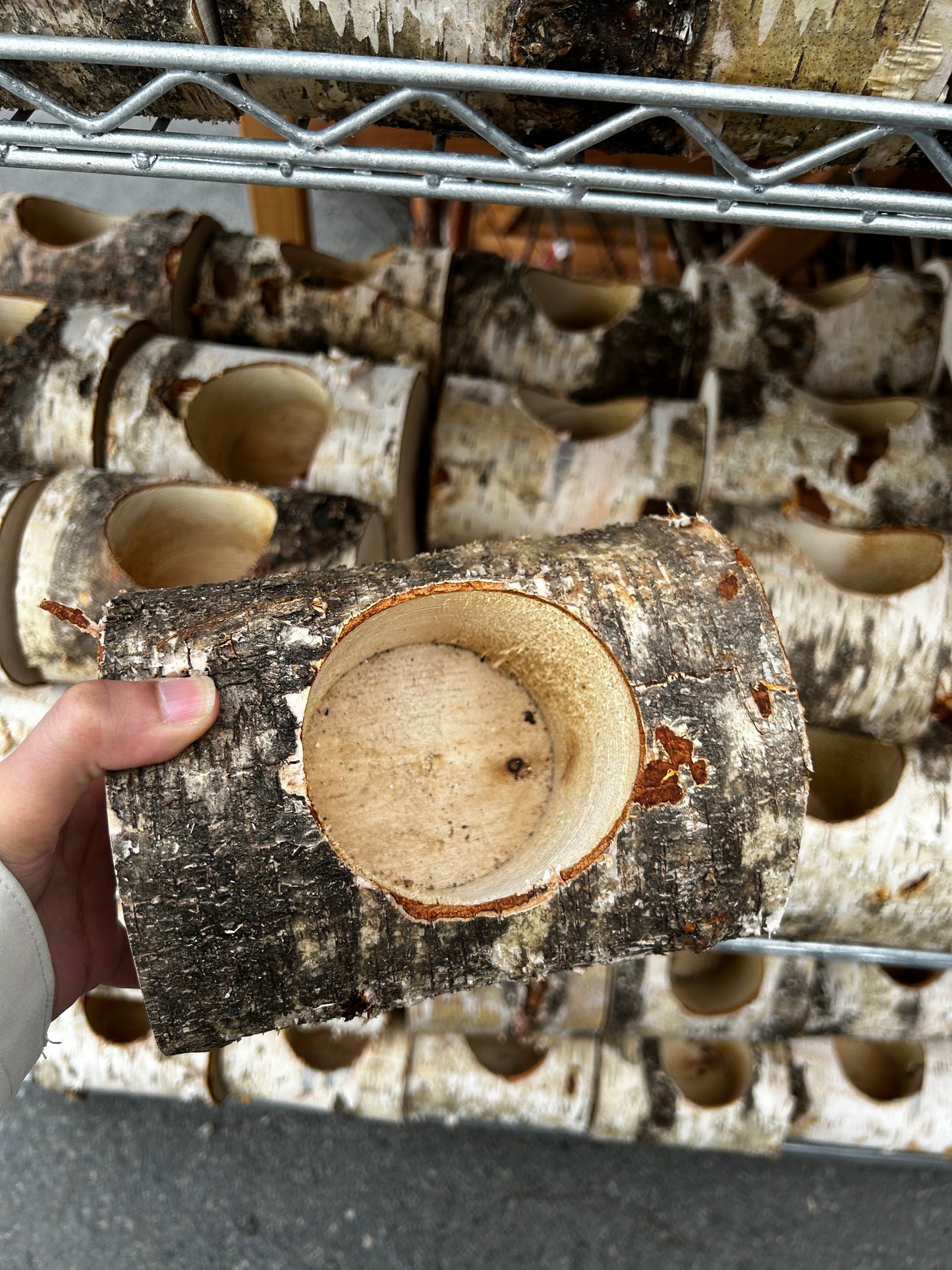 Birch Log, Empty, 1 Hole Horizontal Each