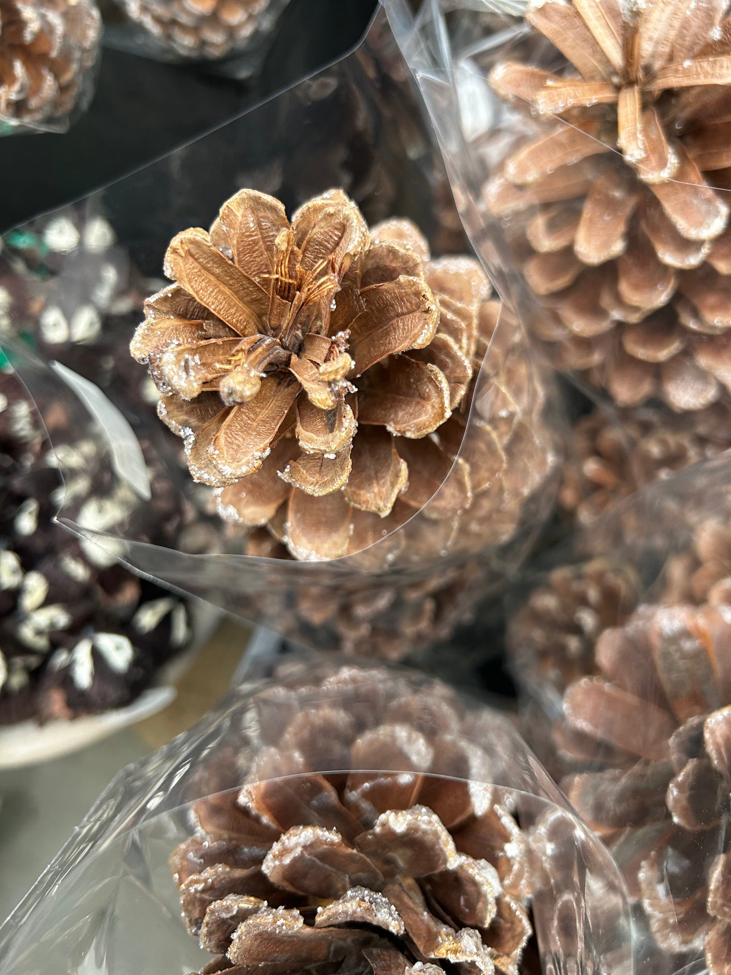 Cones, Austrica, Frosted (XMNP933) Each