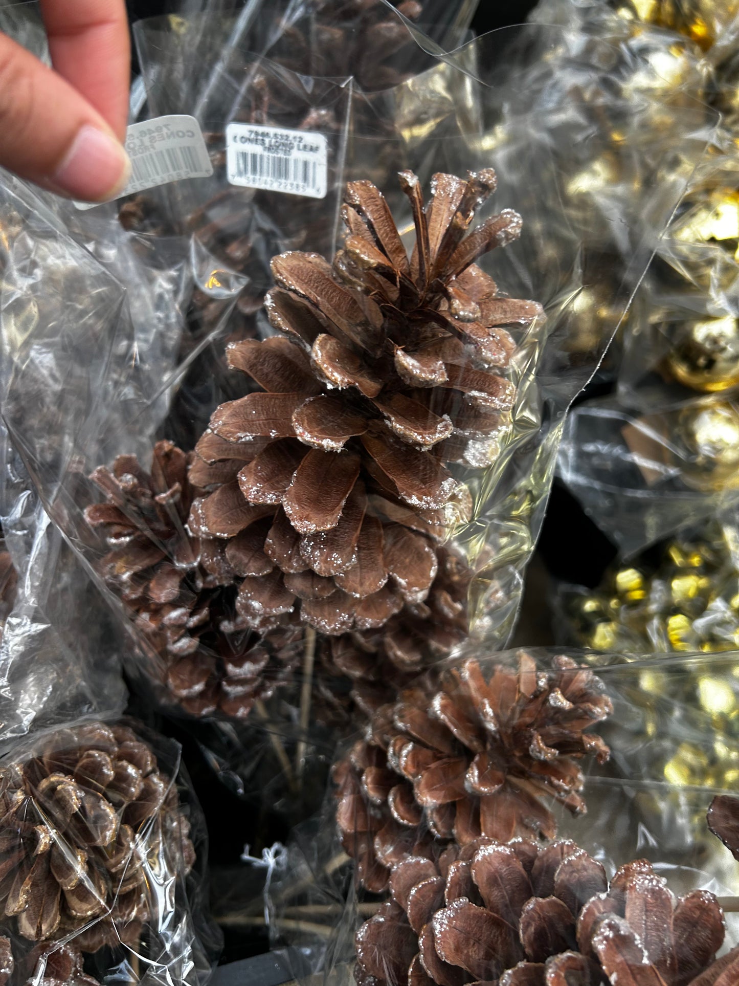 Cones, Austrica, Frosted (XMNP933) Each
