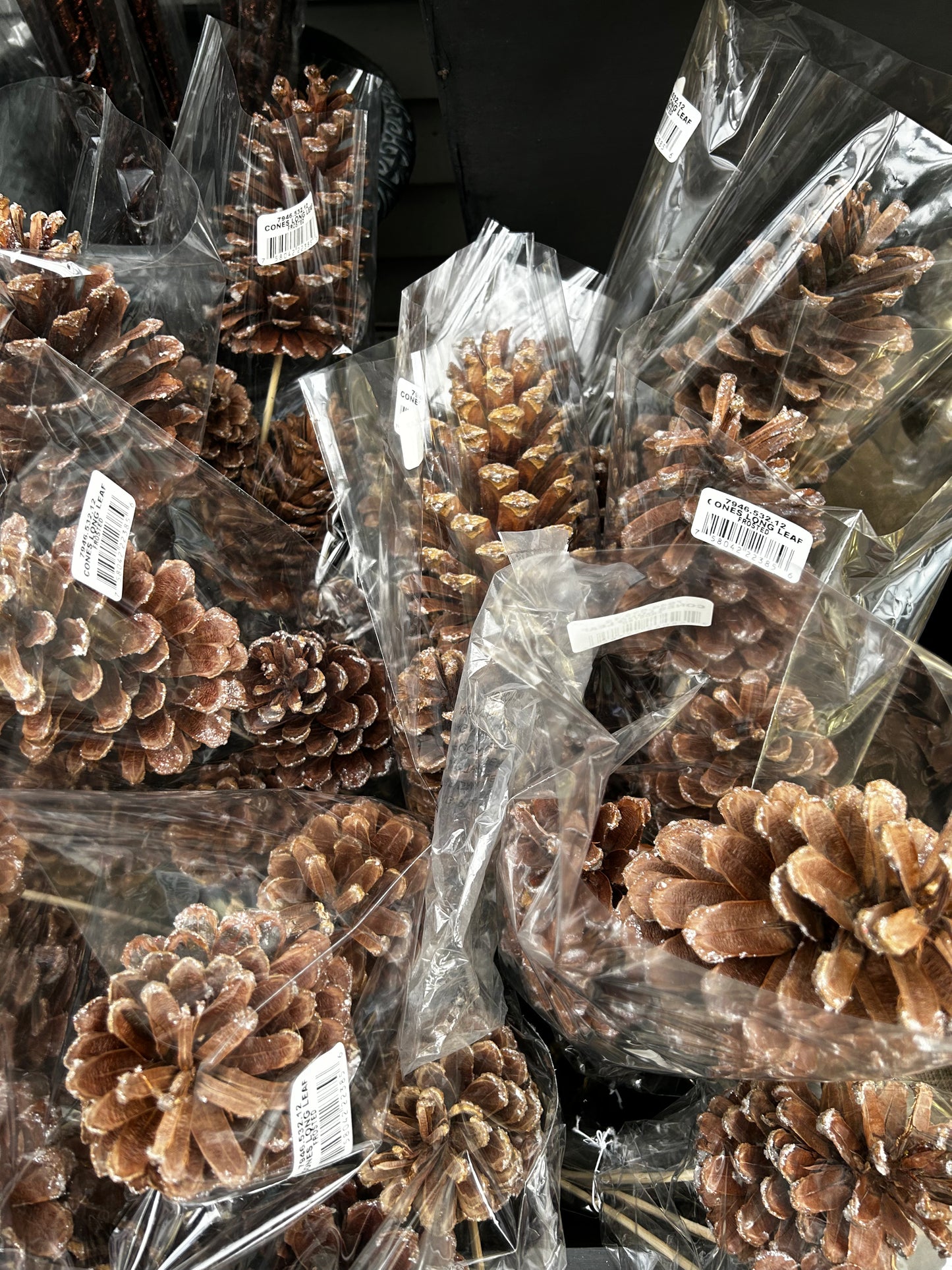 Cones, Austrica, Frosted (XMNP933) Each