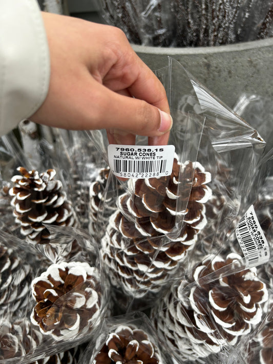 Cones, Sugar, White Tip (XMNP648) Each