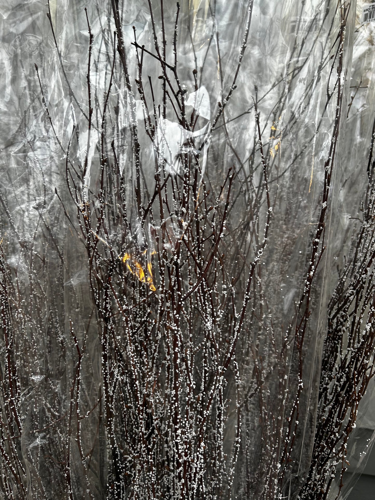 Accents, Birch Branches 3-4', Snow (XMNP927) Each