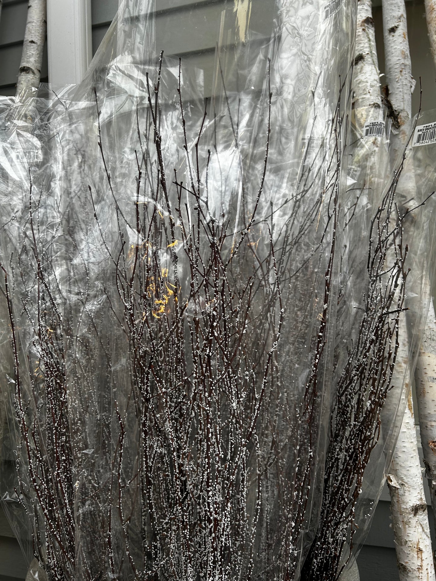 Accents, Birch Branches 3-4', Snow (XMNP927) Each